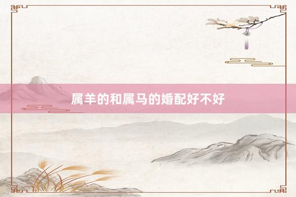 属羊的和属马的婚配好不好