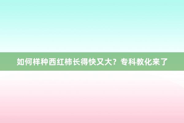 如何样种西红柿长得快又大？专科教化来了
