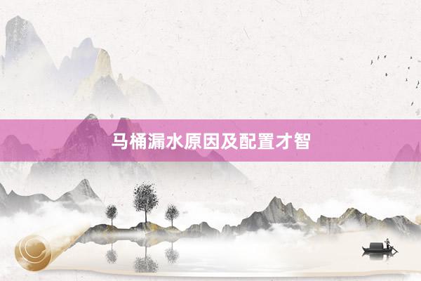 马桶漏水原因及配置才智